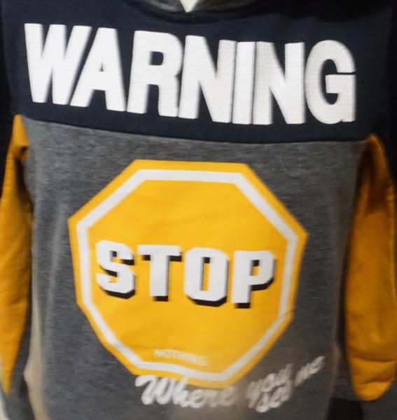 Sweatshirt Gr. 104 (3497)